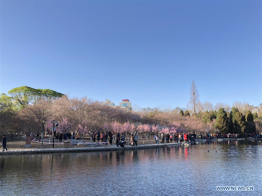 (BeijingCandid) CHINA-BEIJING-SPRING(CN)