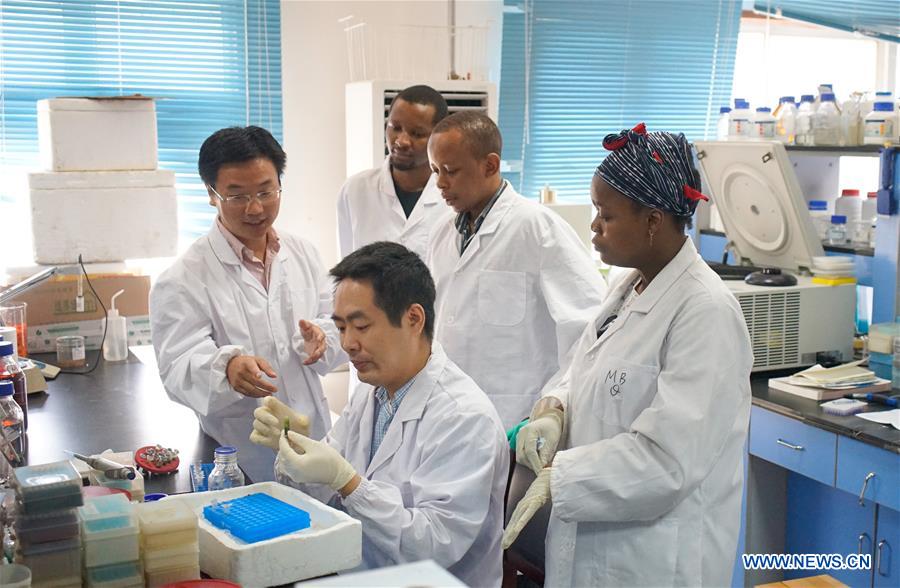 (SCI-TECH)CHINA-AFRICA-SCIENTIFIC RESEARCH-COLLABORATION