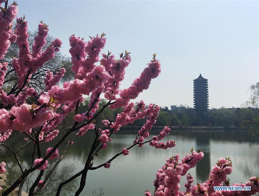 (Beijingcandid)CHINA-BEIJING-SPRING (CN)