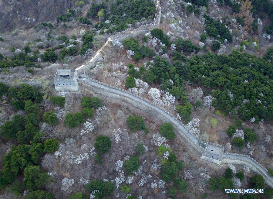 CHINA-BEIJING-GREAT WALL-SCENERY (CN)