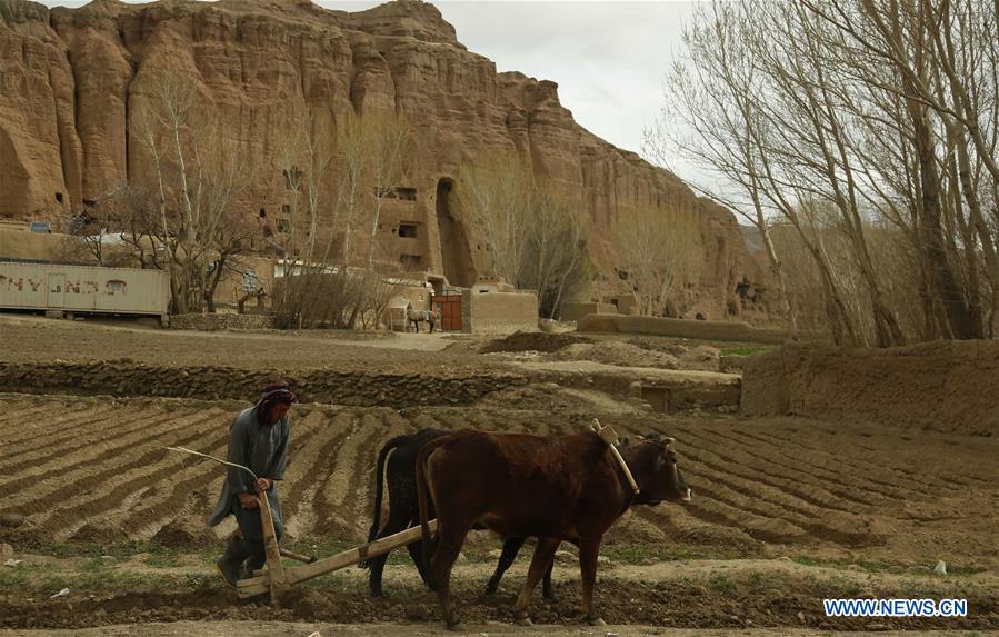 AFGHANISTAN-BAMYAN-DAILY LIFE