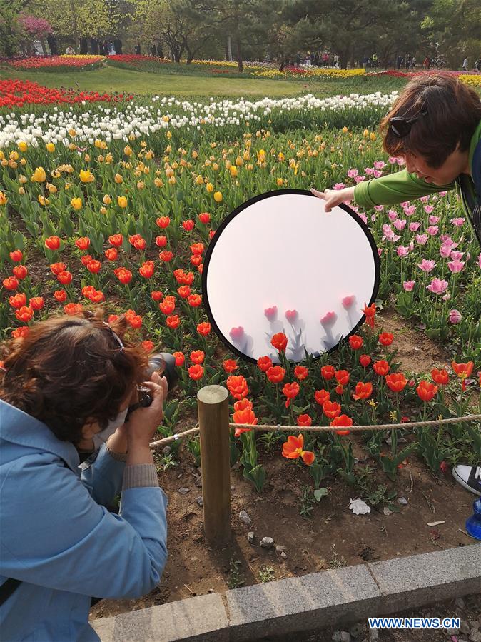 (BeijingCandid)CHINA-BEIJING-SPRING (CN)