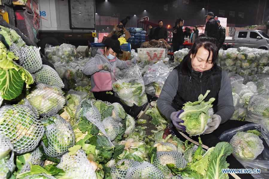 CHINA-SHANDONG-SHOUGUANG-VEGETABLE (CN)