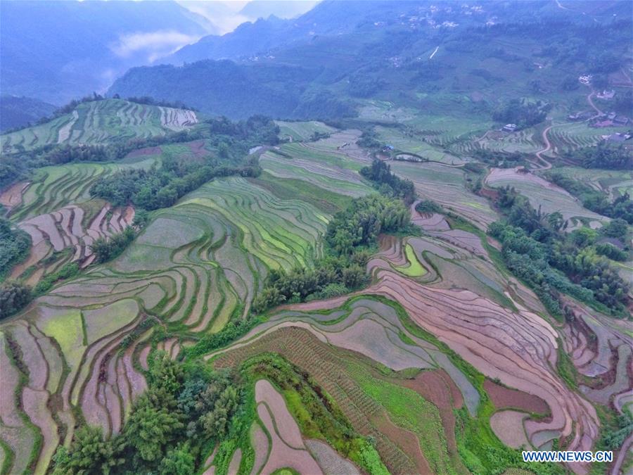 CHINA-SICHUAN-TERRACED LANDS (CN)