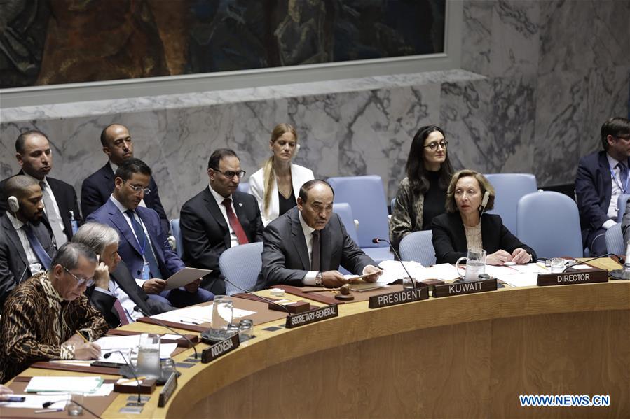 UN-SECURITY COUNCIL-MEETING-CONFLICT PREVENTION AND MEDITATION