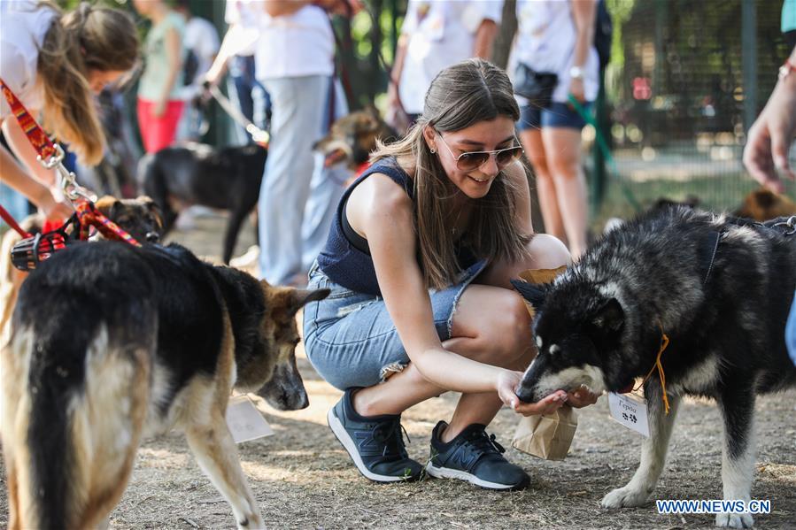 RUSSIA-MOSCOW-DAY OF FRIENDS-DOGS-CHARITY