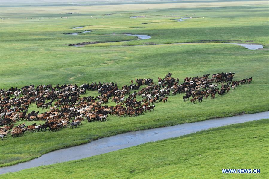 CHINA-INNER MONGOLIA-HORSES (CN)