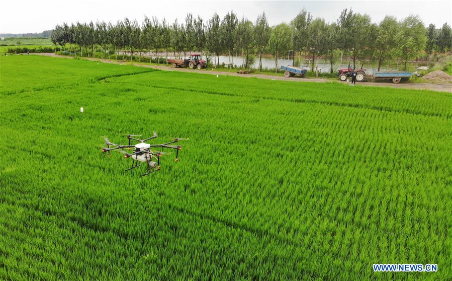 CHINA-JILIN-HUINAN-GREEN AND ORGANIC AGRICULTURE (CN)