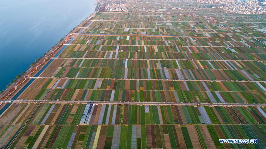 (EcoChina)CHINA-HORTICULTURAL EXPO-YUNNAN (CN)