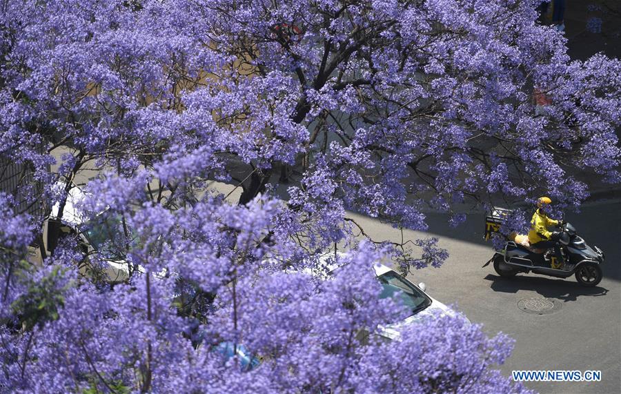 (EcoChina)CHINA-HORTICULTURAL EXPO-YUNNAN (CN)