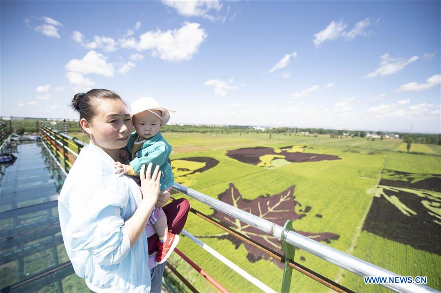 CHINA-XINJIANG-QAPQAL-RICE FIELDS-TOURISM (CN)