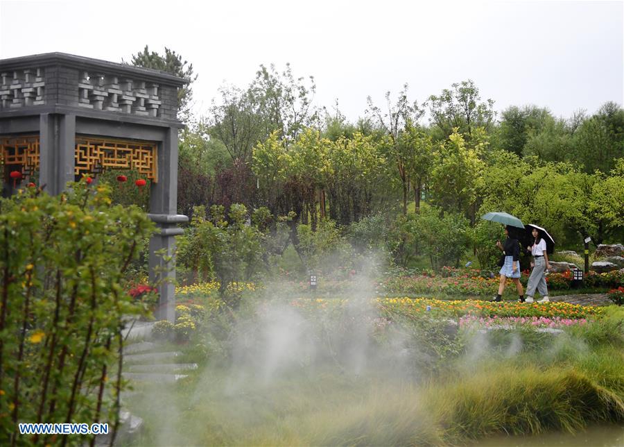 CHINA-BEIJING-HORTICULTURAL EXPO-NINGXIA DAY (CN)