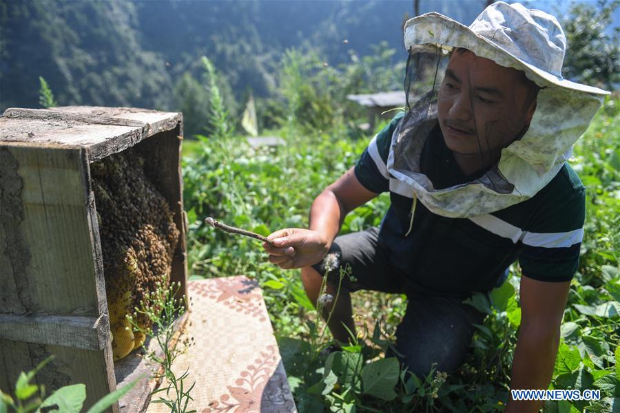 CHINA-HUNAN-XIANGXI-APICULTURE (CN)