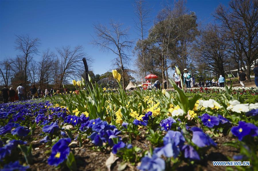 AUSTRALIA-CANBERRA-FLORIADE