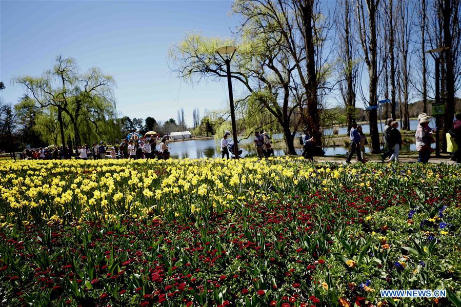 AUSTRALIA-CANBERRA-FLORIADE