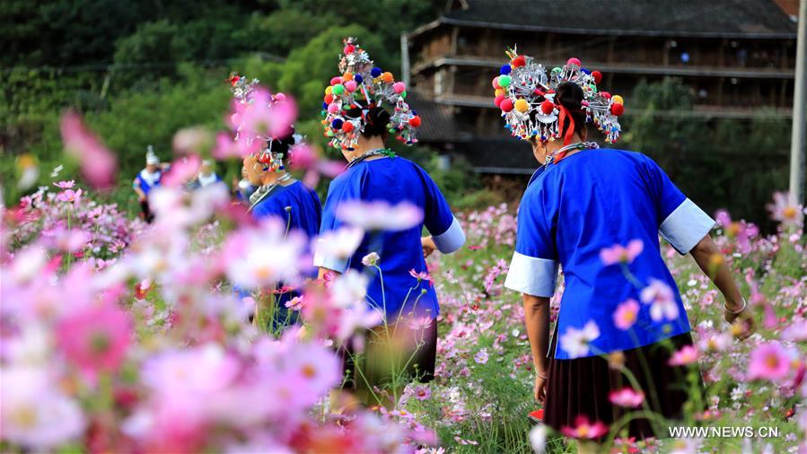 CHINA-GUANGXI-SANJIANG-GALSANG FLOWERS (CN)