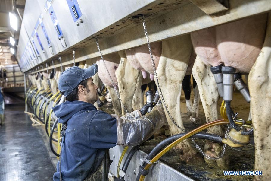 U.S.-DAIRY FARM-TRADE-CHINA