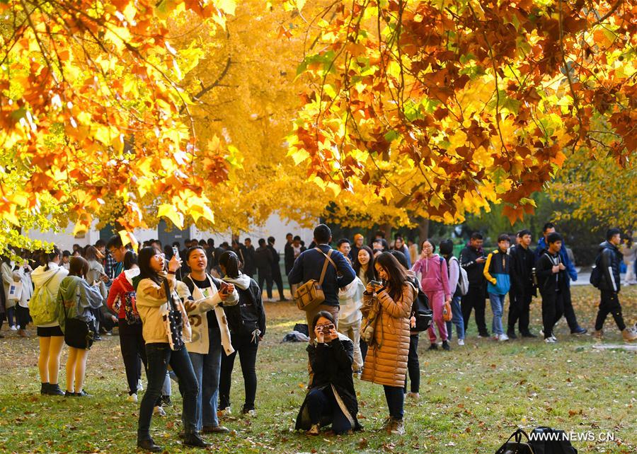 CHINA-BEIJING-UNIVERSITY OF SCIENCE AND TECHNOLOGY BEIJING-AUTUMN SCENERY (CN)