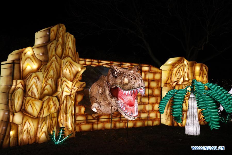 U.S.-NEW YORK-WINTER LANTERN FESTIVAL