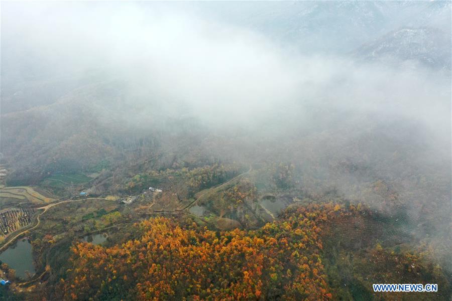 CHINA-HENAN-TONGBAI MOUNTAIN (CN)