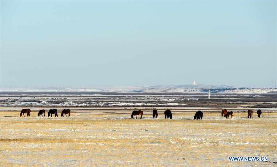 CHINA-INNER MONGOLIA-HULUN BUIR-WINTER (CN)