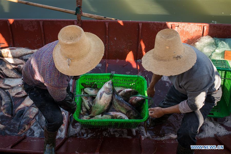 CHINA-YUNNAN-XINGYUN LAKE-FISH SEASON-START (CN)