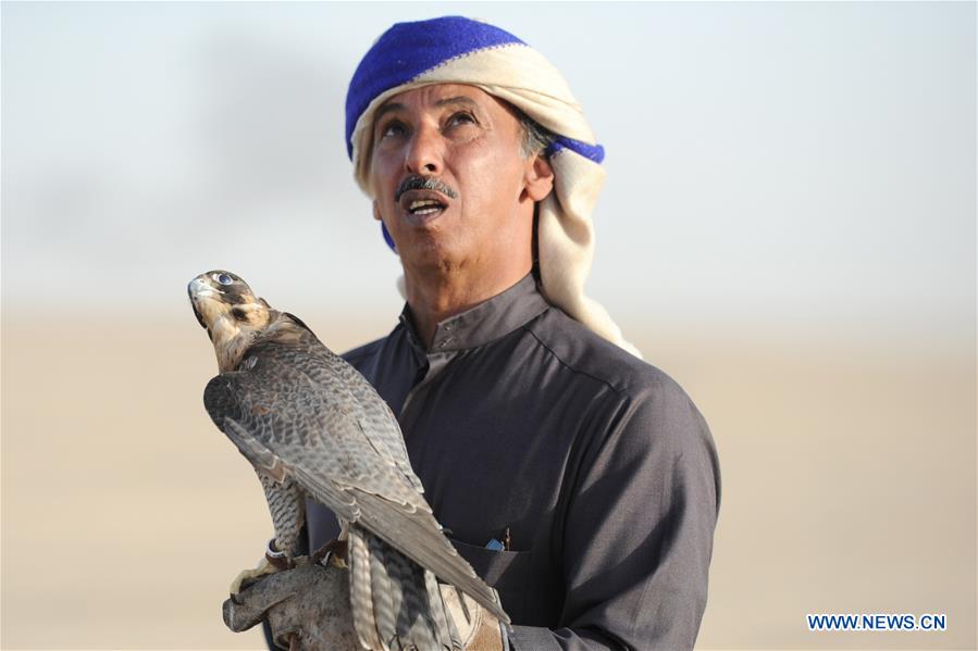 KUWAIT-JAHRA GOVERNORATE-FALCON TRAINING SHOW