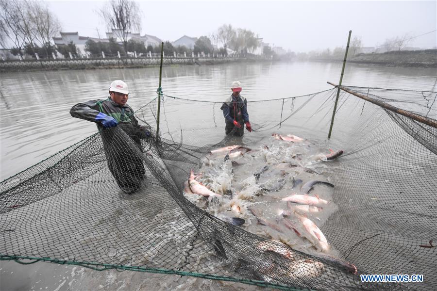 CHINA-ZHEJIANG-FOLK CULTURE (CN)