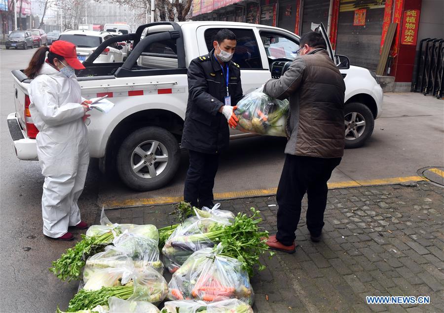 CHINA-HENAN-XINYANG-VEGETABLE SUPPLY (CN)