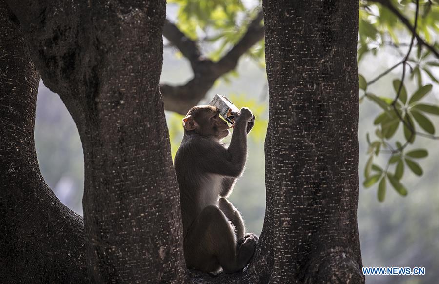 INDIA-NEW DELHI-NATIONAL ZOOLOGICAL PARK