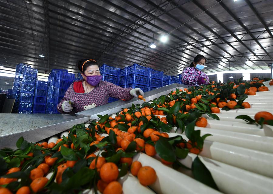 CHINA-GUANGXI-PRODUCTION RESUMPTION (CN)