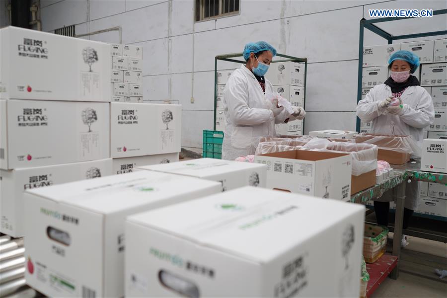 CHINA-HEBEI-POVERTY RELIEF-PRODUCTION RESUMPTION (CN)