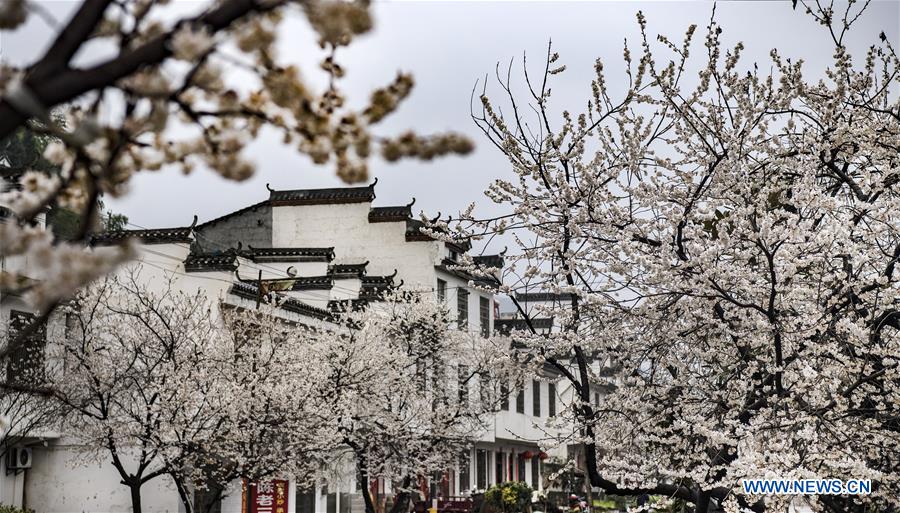 CHINA-SHAANXI-SPRING SCENERY (CN)