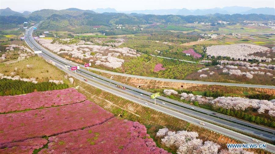 CHINA-GUIZHOU-QINGZHEN-SPRING SCENERY (CN)