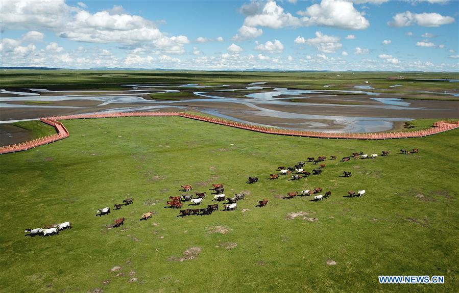 CHINA-SUMMER SCENERY-AERIAL VIEW (CN)