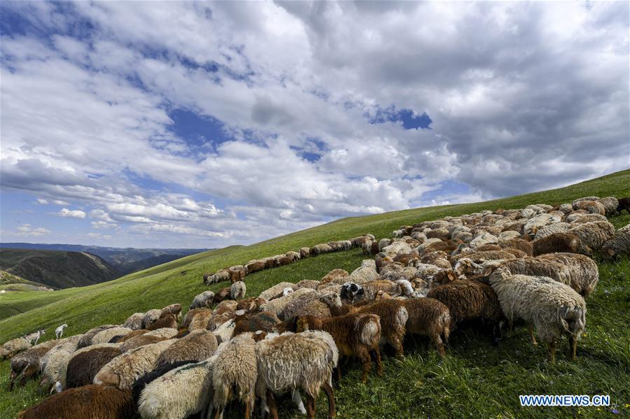 CHINA-XINJIANG-SOCIETY AND NATURE (CN)