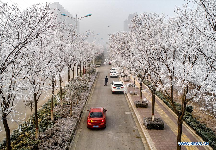 #CHINA-SHANXI-YUNCHENG-RIME SCENERY (CN)