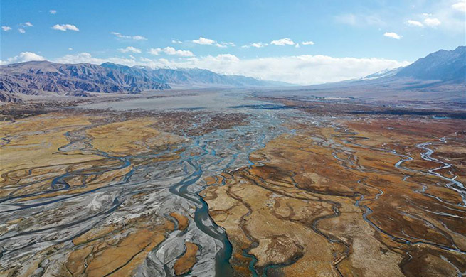 Autumn scenery in NW China's Xinjiang