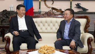 Chinese president holds talks with Mongolian counterpart in Ulan Bator