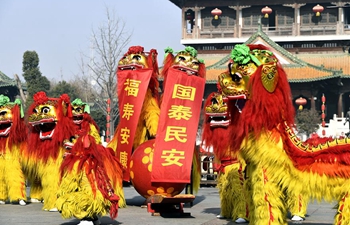 Lion dance performed in E China to greet new year