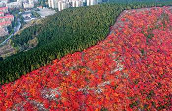 Scenery of Xiezi Mountain in China's Shandong