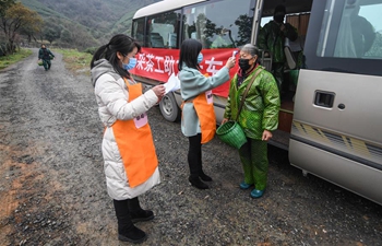 Tea gardens begin first harvest of spring tea under prevention measures in Zhejiang