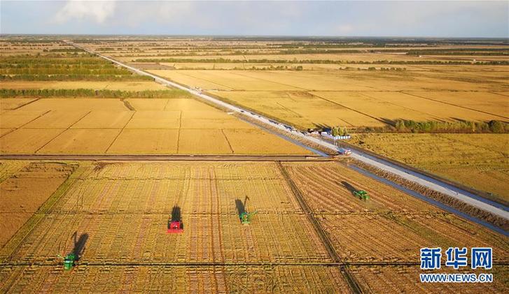 （在习近平新时代中国特色社会主义思想指引下——新时代新作为新篇章·乡村振兴战略·图文互动）（1）“十五连丰”谱新篇——端牢“中国饭碗”的龙江实践