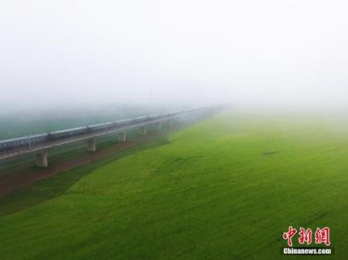 资料图：动车组穿越雨雾中的油菜花海宛若穿越时空。 杨艳敏 摄