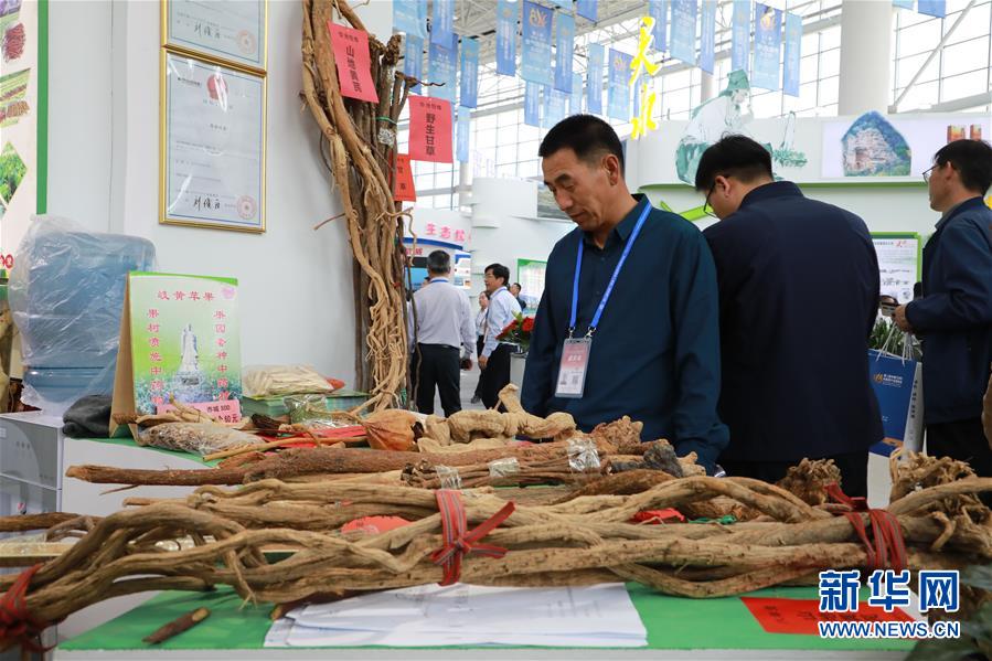 （来自一线的调查报告·图文互动）（1）甘肃：岐黄肇始地 振兴开新方