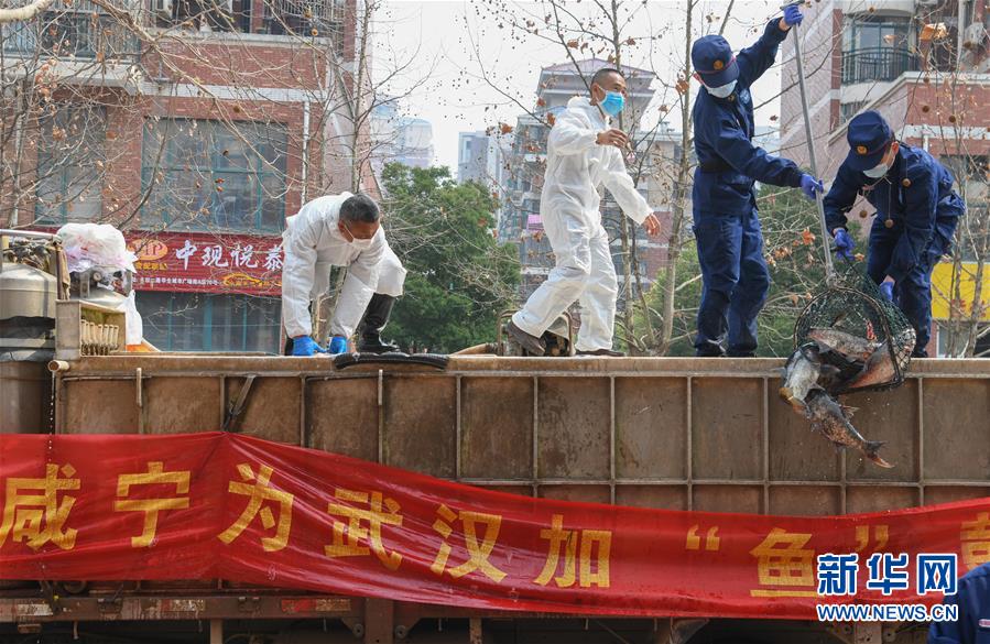 （新华全媒头条·图文互动）（11）风雨无阻向前进——写在全国疫情防控阻击战取得重大战略成果之际