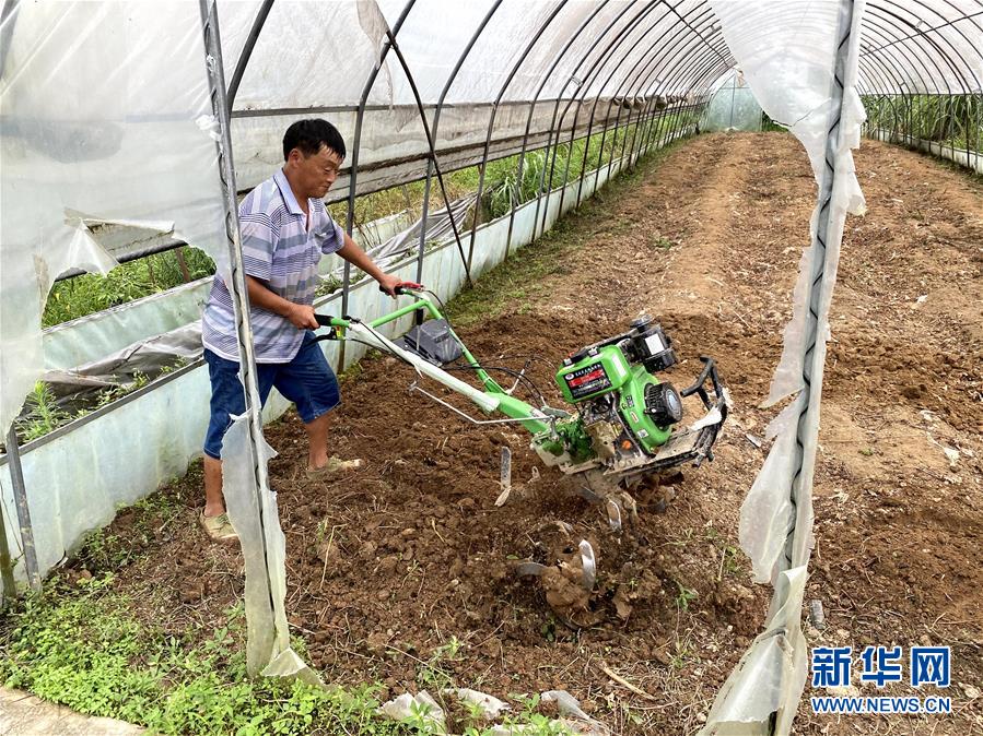 （防汛抗洪·图文互动）（3）修路通水忙重建 补种抢收复生产——湘西山洪后恢复生产生活见闻