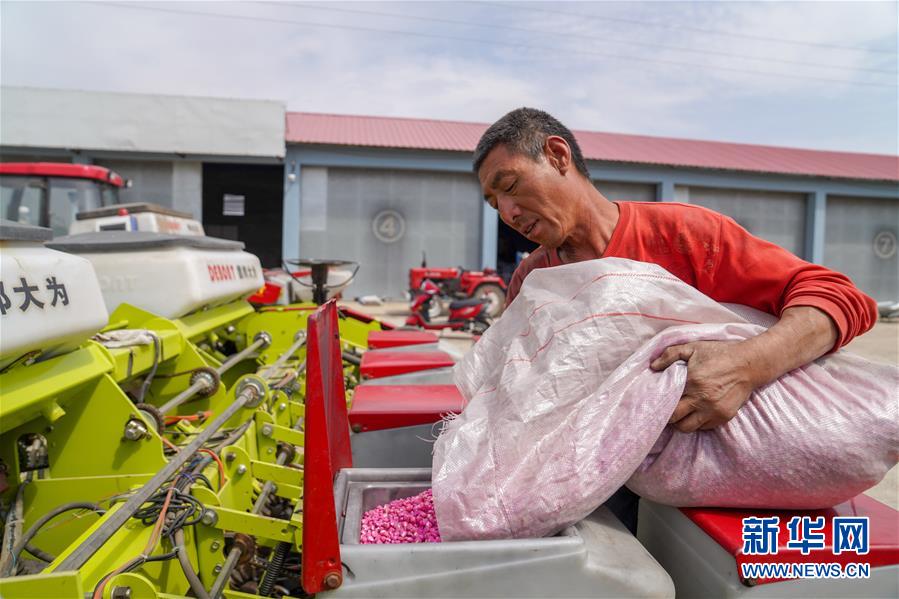 （在习近平新时代中国特色社会主义思想指引下——新时代新作为新篇章·习近平总书记关切事·图文互动）（8）让每一寸耕地都成为丰收的沃土——我国加强耕地?；ね平?ldquo;藏粮于地”