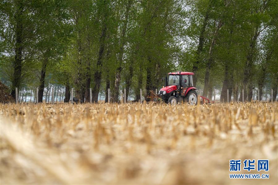 （在习近平新时代中国特色社会主义思想指引下——新时代新作为新篇章·习近平总书记关切事·图文互动）（9）让每一寸耕地都成为丰收的沃土——我国加强耕地?；ね平?ldquo;藏粮于地”