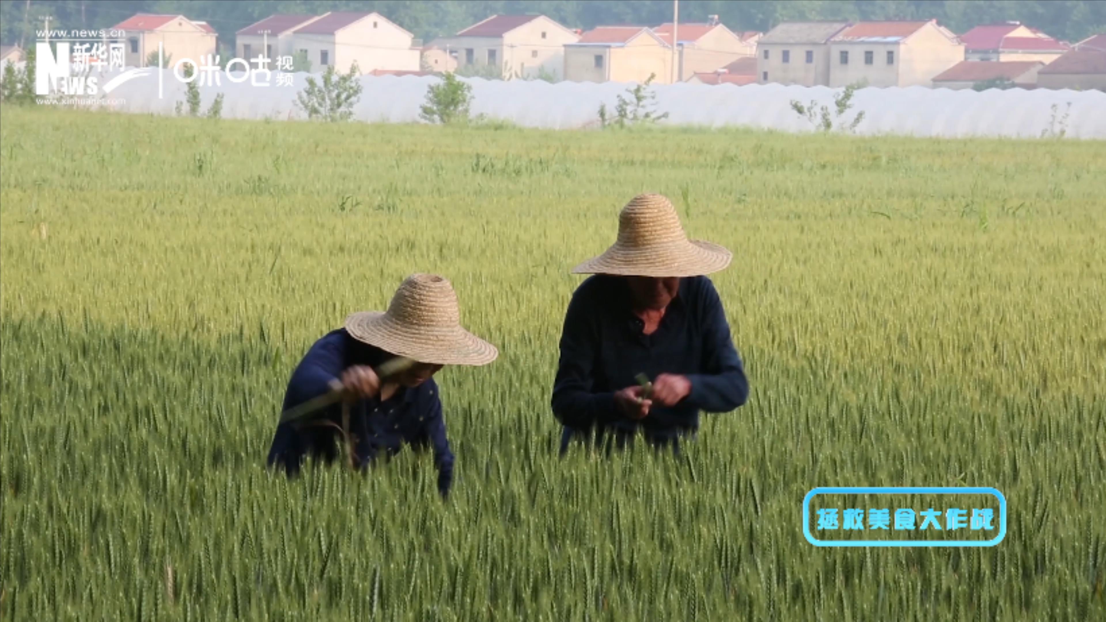 被浪费的不止是食物本身，还有生产粮食的资源、金钱和劳动力